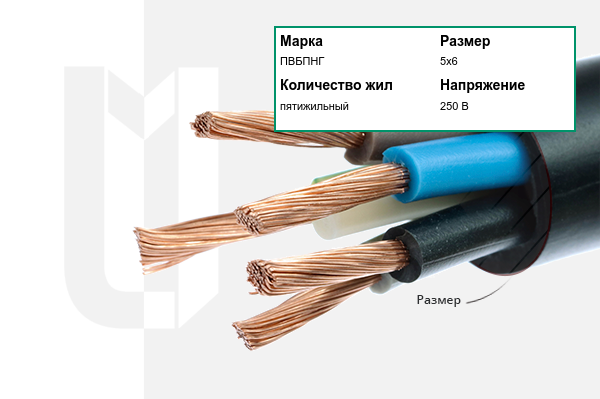 Силовой кабель ПВБПНГ 5х6 мм